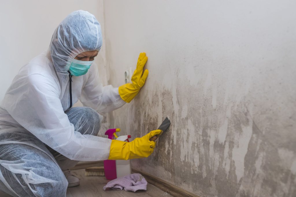 A woman in a white coat and rubber gloves is cleaning a wall, showcasing a mold removal service in Vancouver, WA.