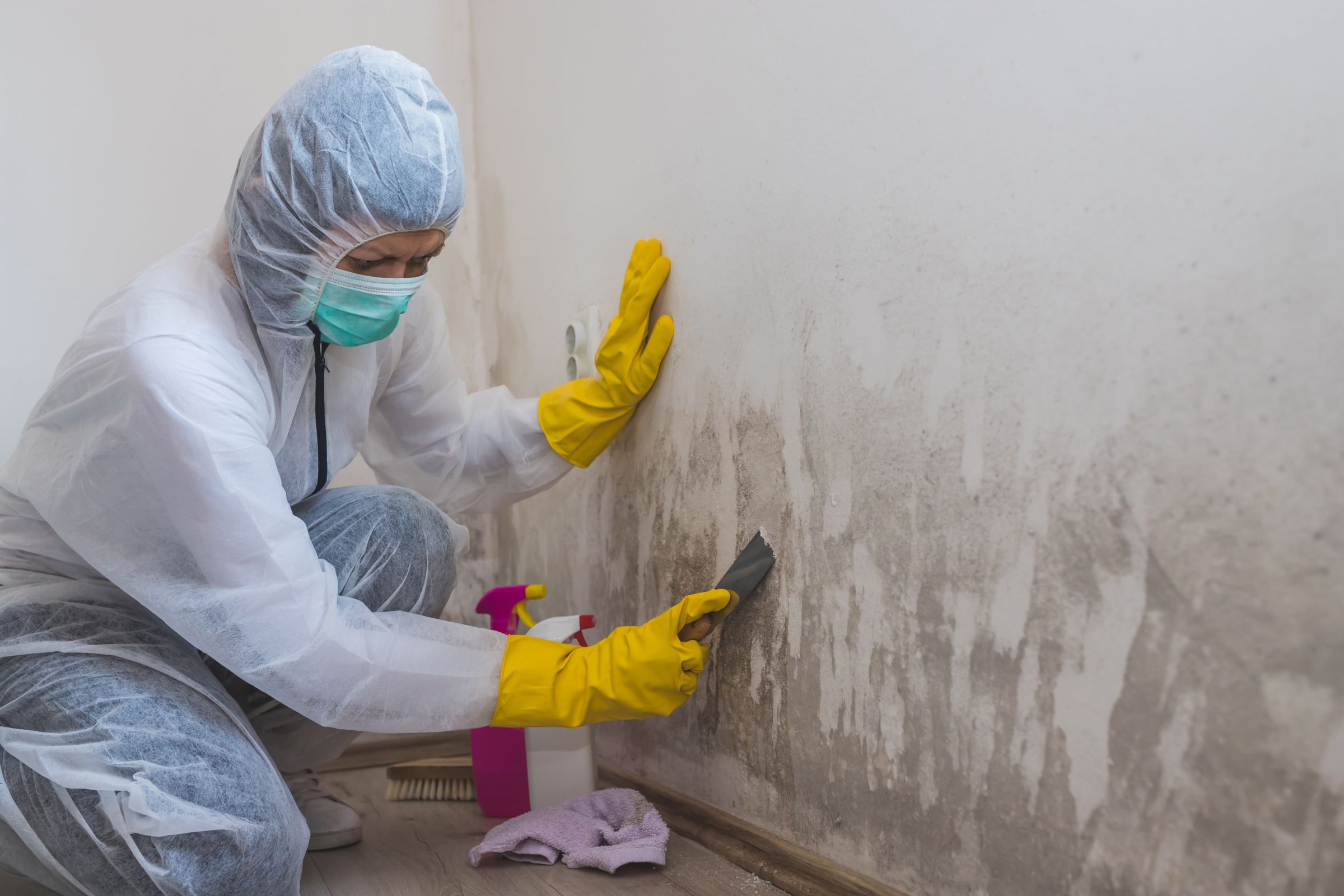 A woman in a white coat and rubber gloves is cleaning a wall, showcasing a mold removal service in Vancouver, WA.
