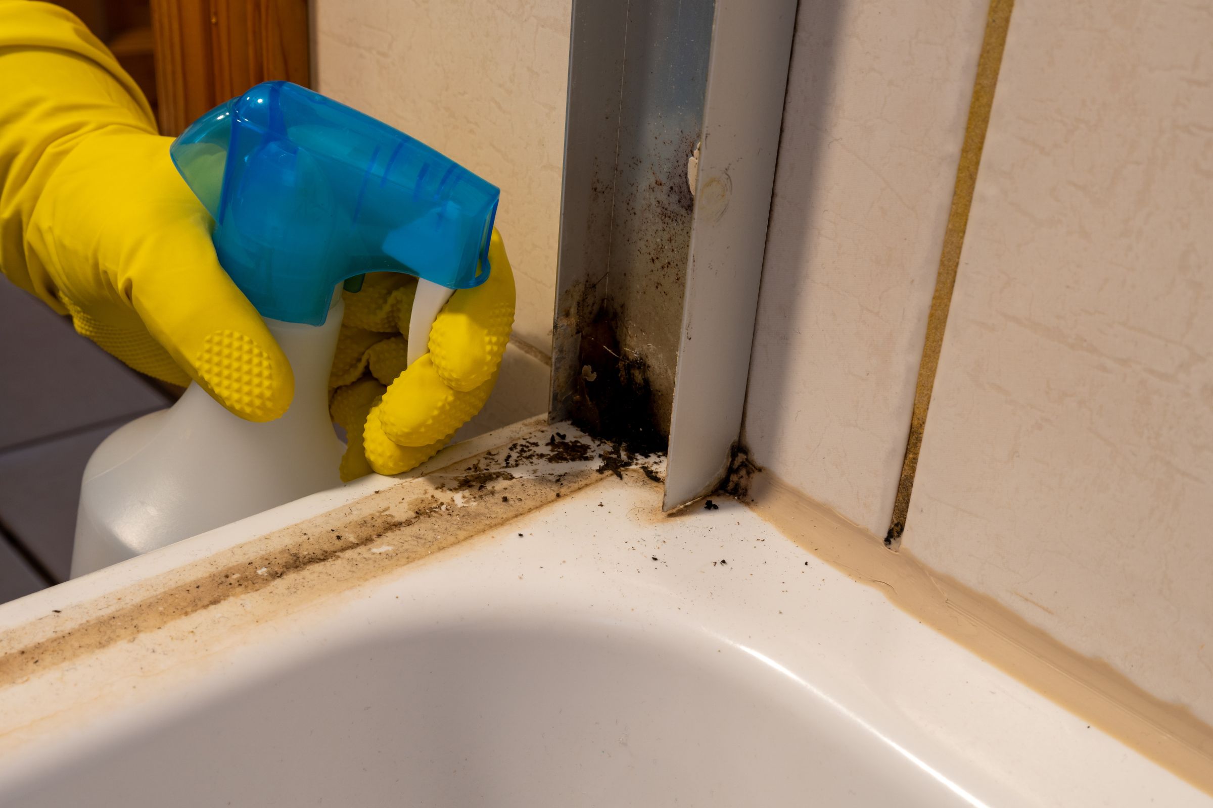 A person in yellow gloves is cleaning a bathroom sink, highlighting a mold removal service in Vancouver, WA.