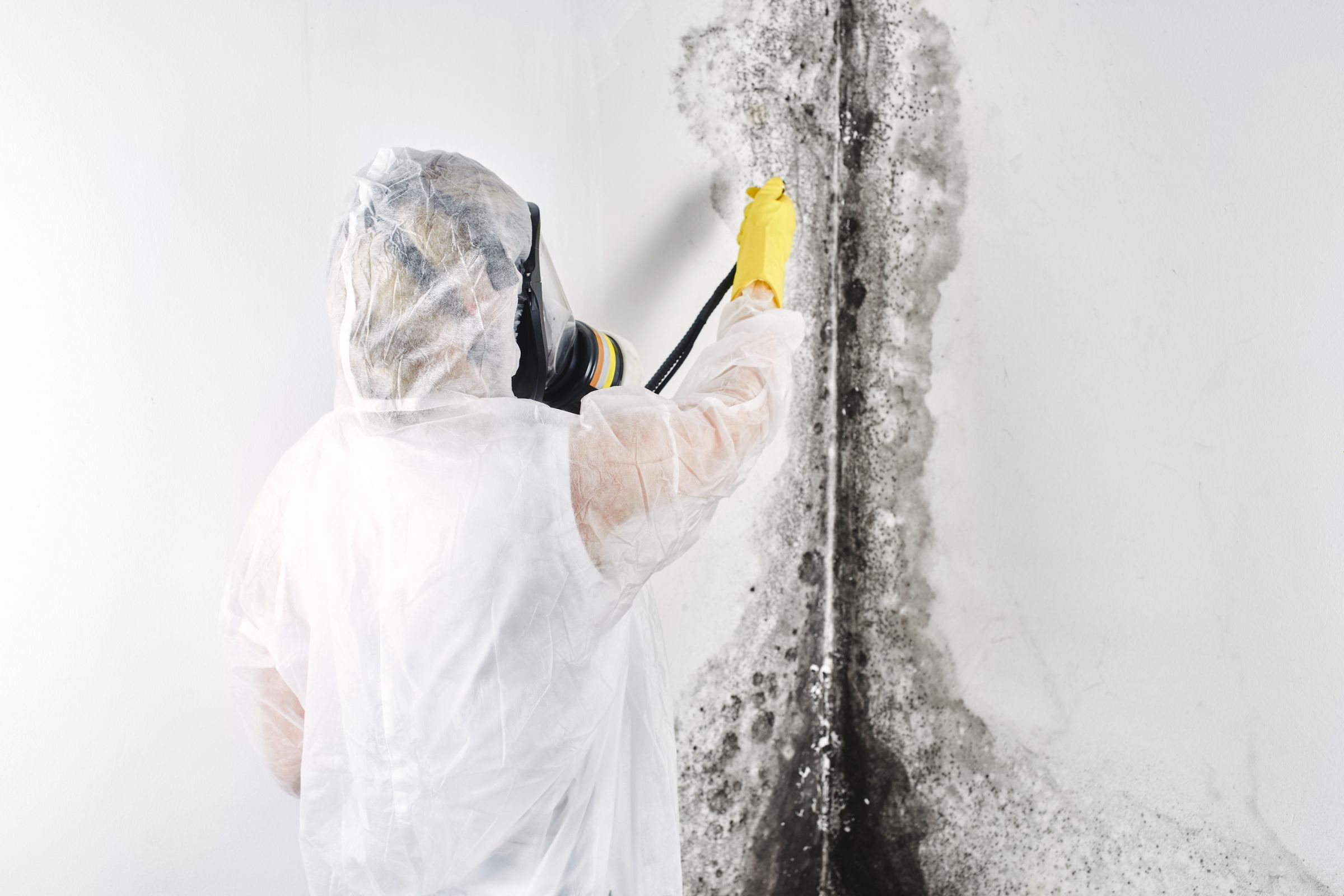 A man wearing a white coat and yellow gloves applies mold spray to a wall as part of a mold removal service in Vancouver, WA.