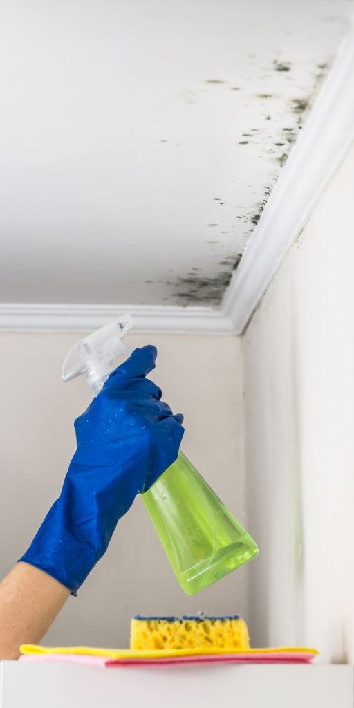 A worker in blue gloves cleans mold from a ceiling in a Vancouver, WA mold removal service environment.