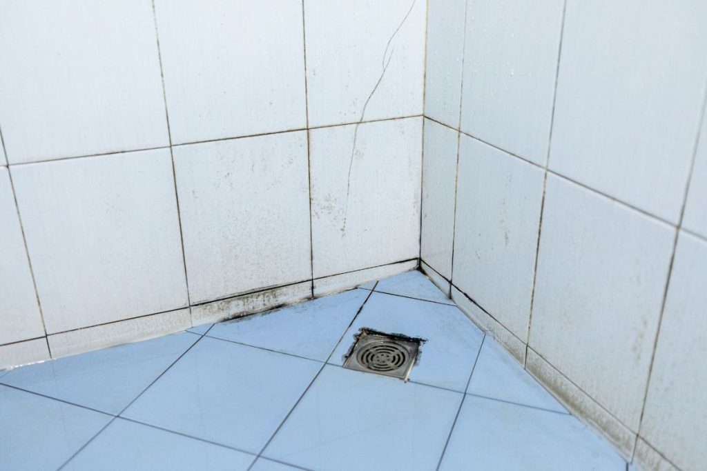 A dirty bathroom showing mold growth on the walls and a drain in the corner, highlighting poor hygiene conditions.
