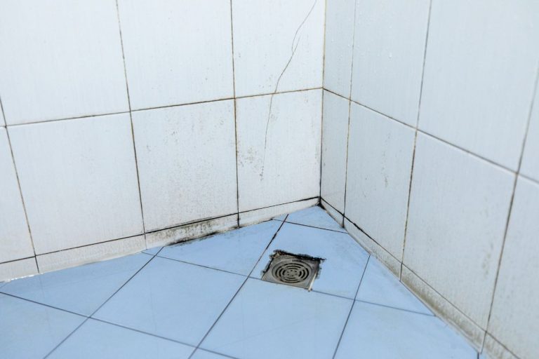 A dirty bathroom showing mold growth on the walls and a drain in the corner, highlighting poor hygiene conditions.