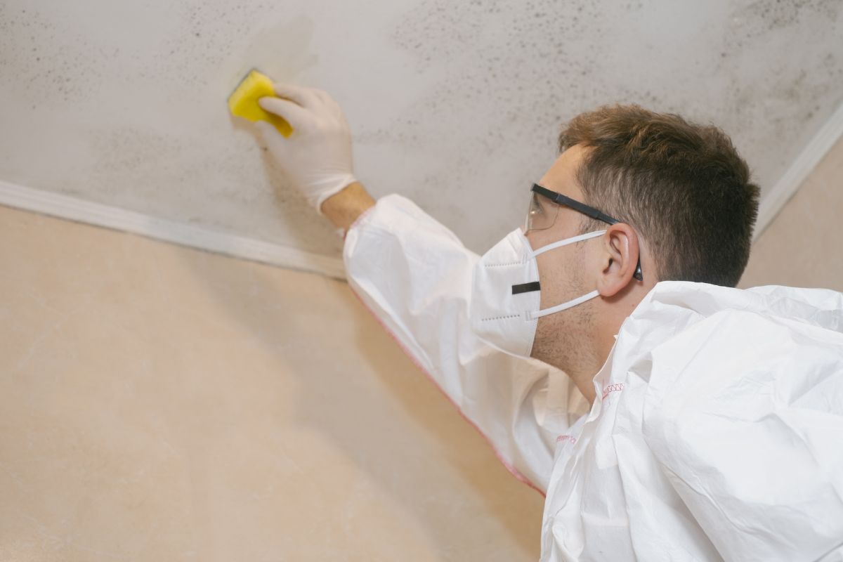 A man in protective gear cleans a ceiling, while a "For Sale" sign and home inspection are visible in a split image. 