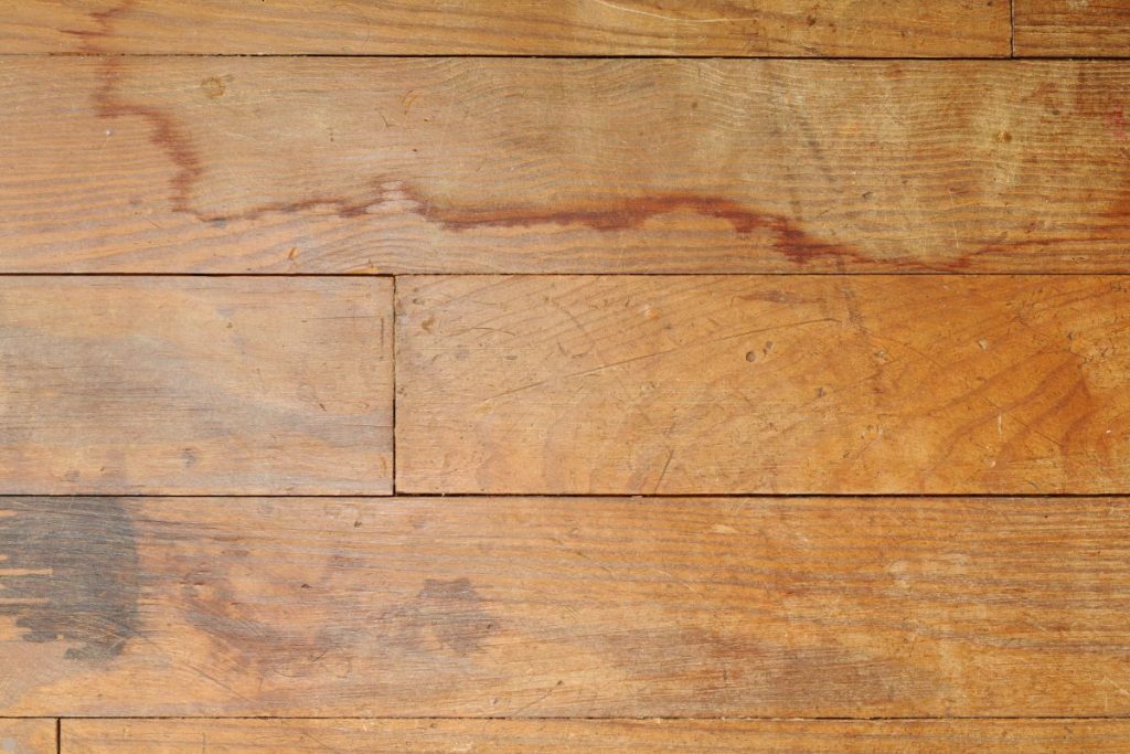 Highlighting the contrast with mold-damaged wooden beams in the background.