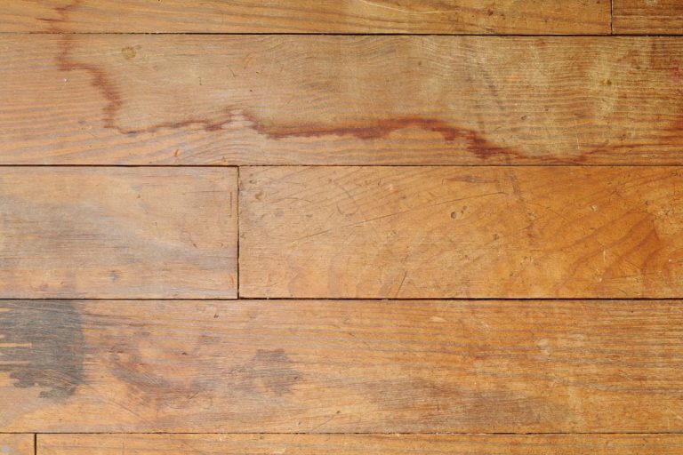 Highlighting the contrast with mold-damaged wooden beams in the background.