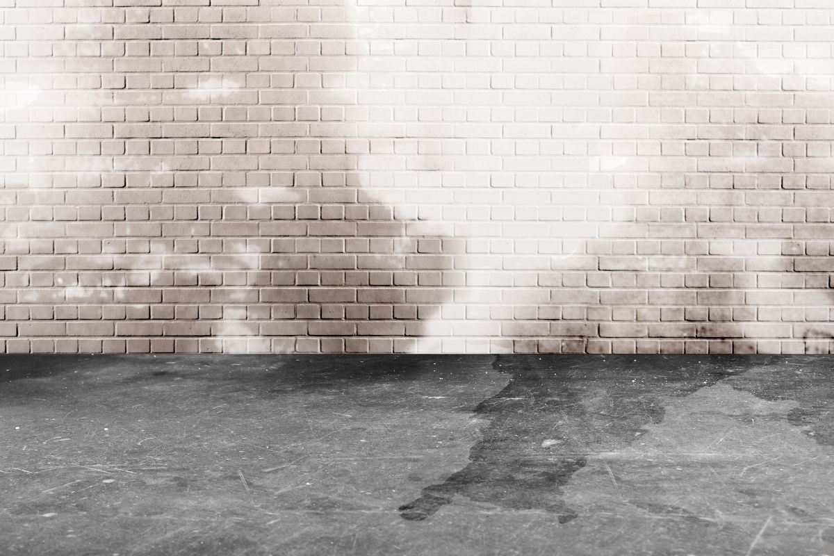 A split image of a brick wall: one side shows a clean, white-painted wall, the other a damp, moldy basement.