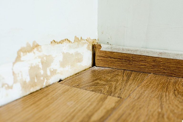 A room showing significant water damage, with visible mold growth on the walls and peeling paint.